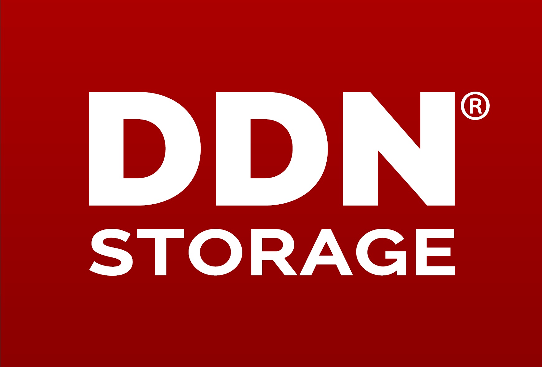Logo DDN Storage